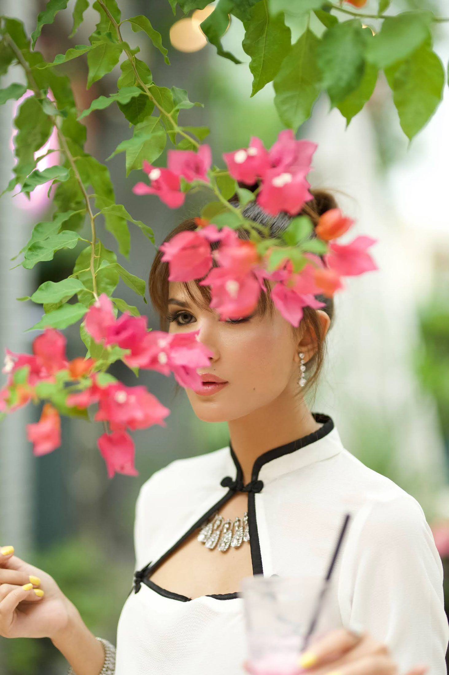 Bougainvillea in bloom, Lolo by Laila